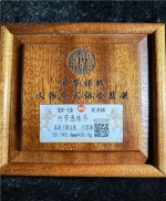 竹节连珠币