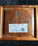 竹节连珠币